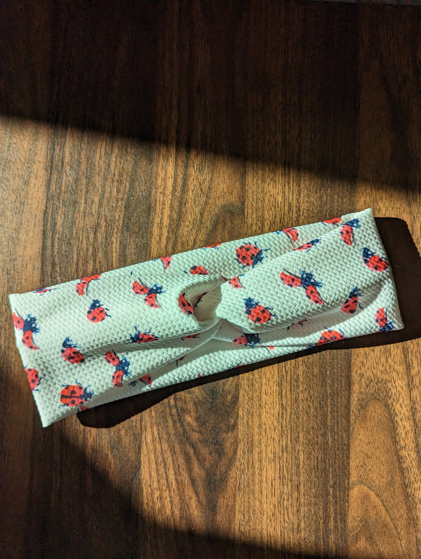 Ladybug Headband