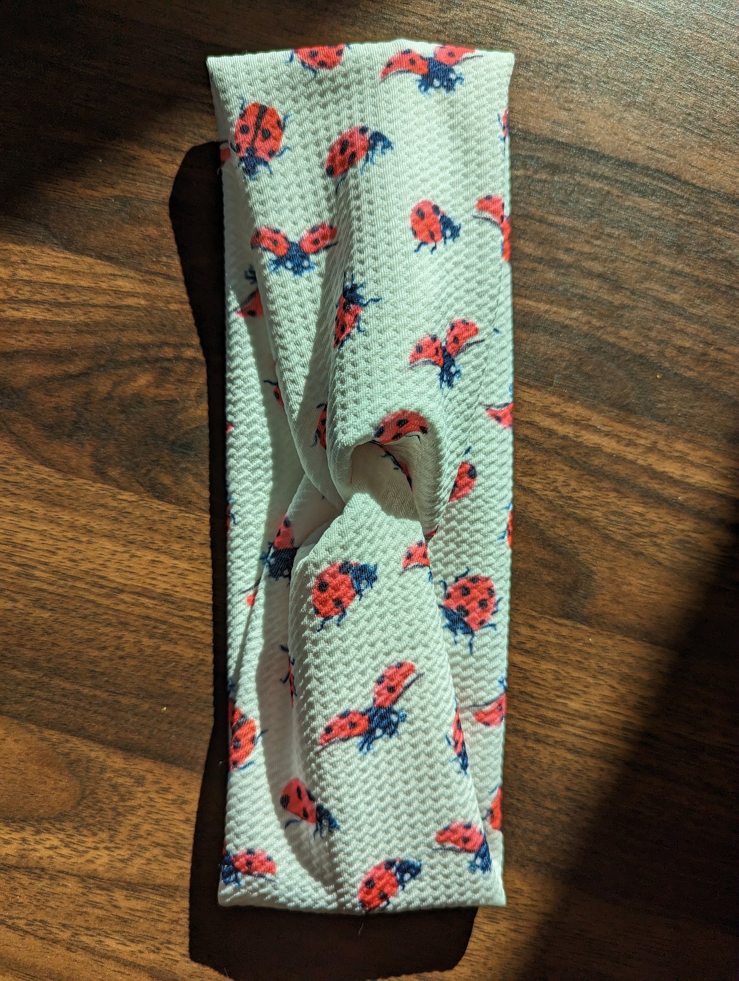 Ladybug Headband