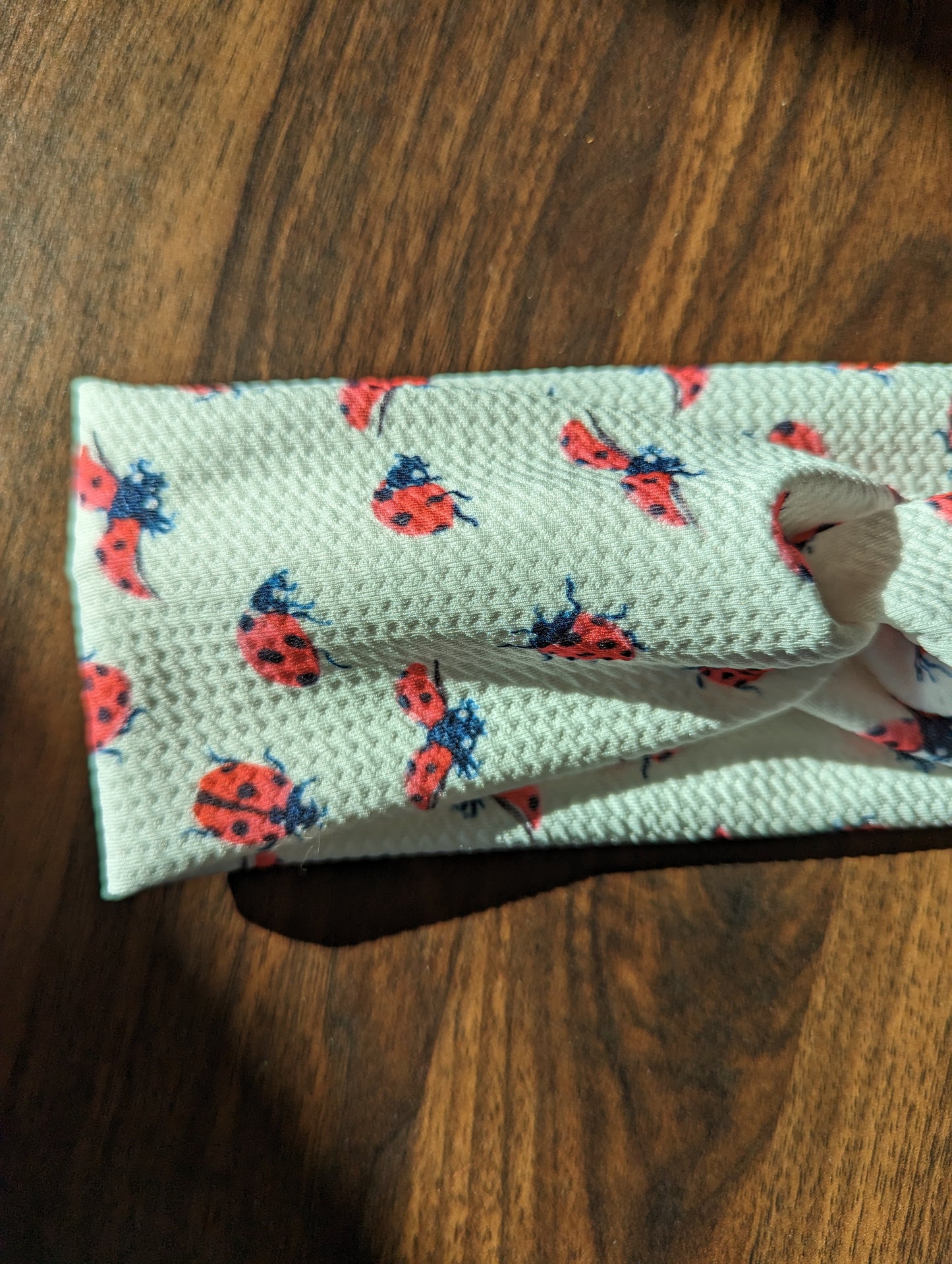 Ladybug Headband