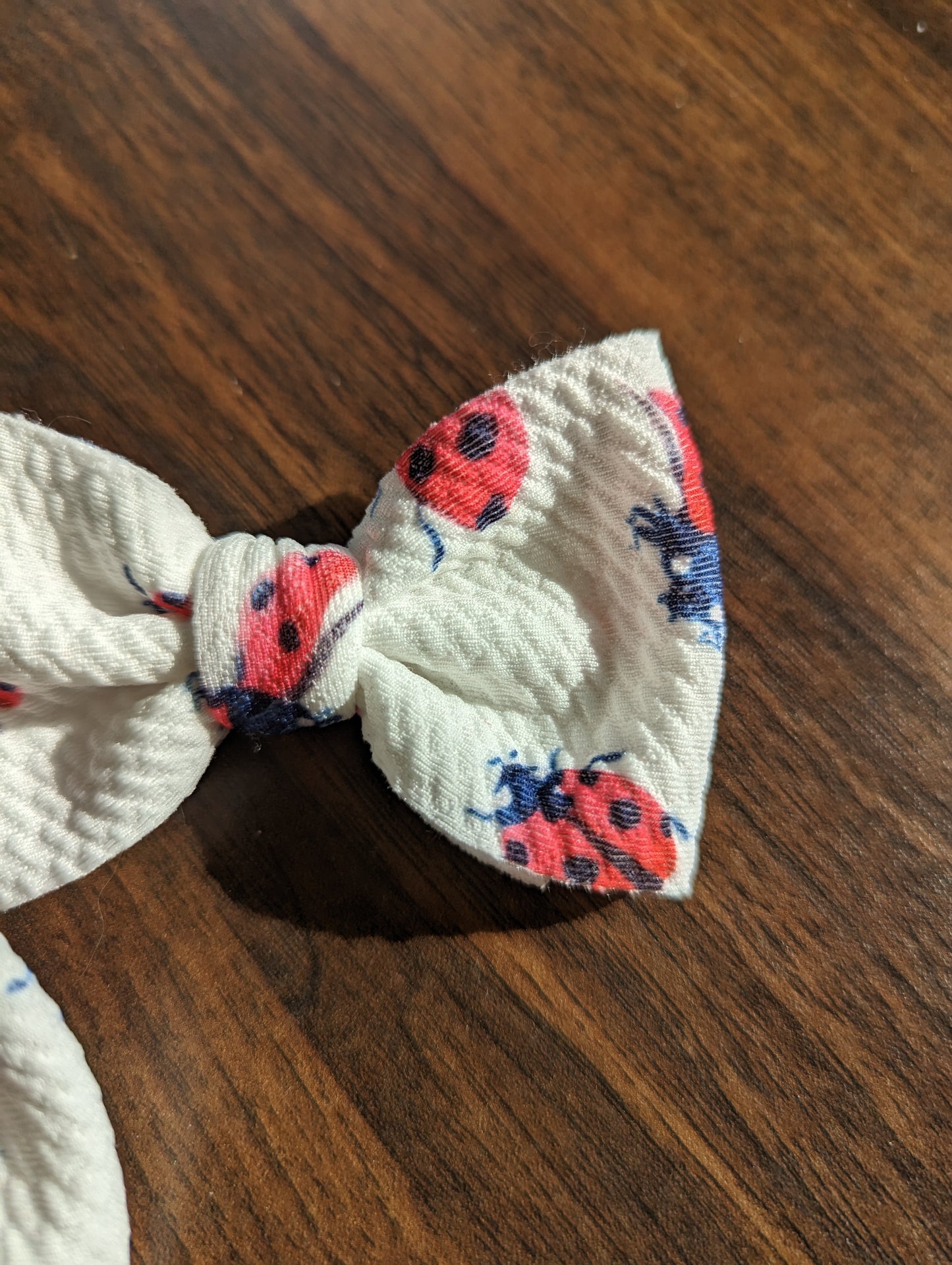 Ladybug Piggies