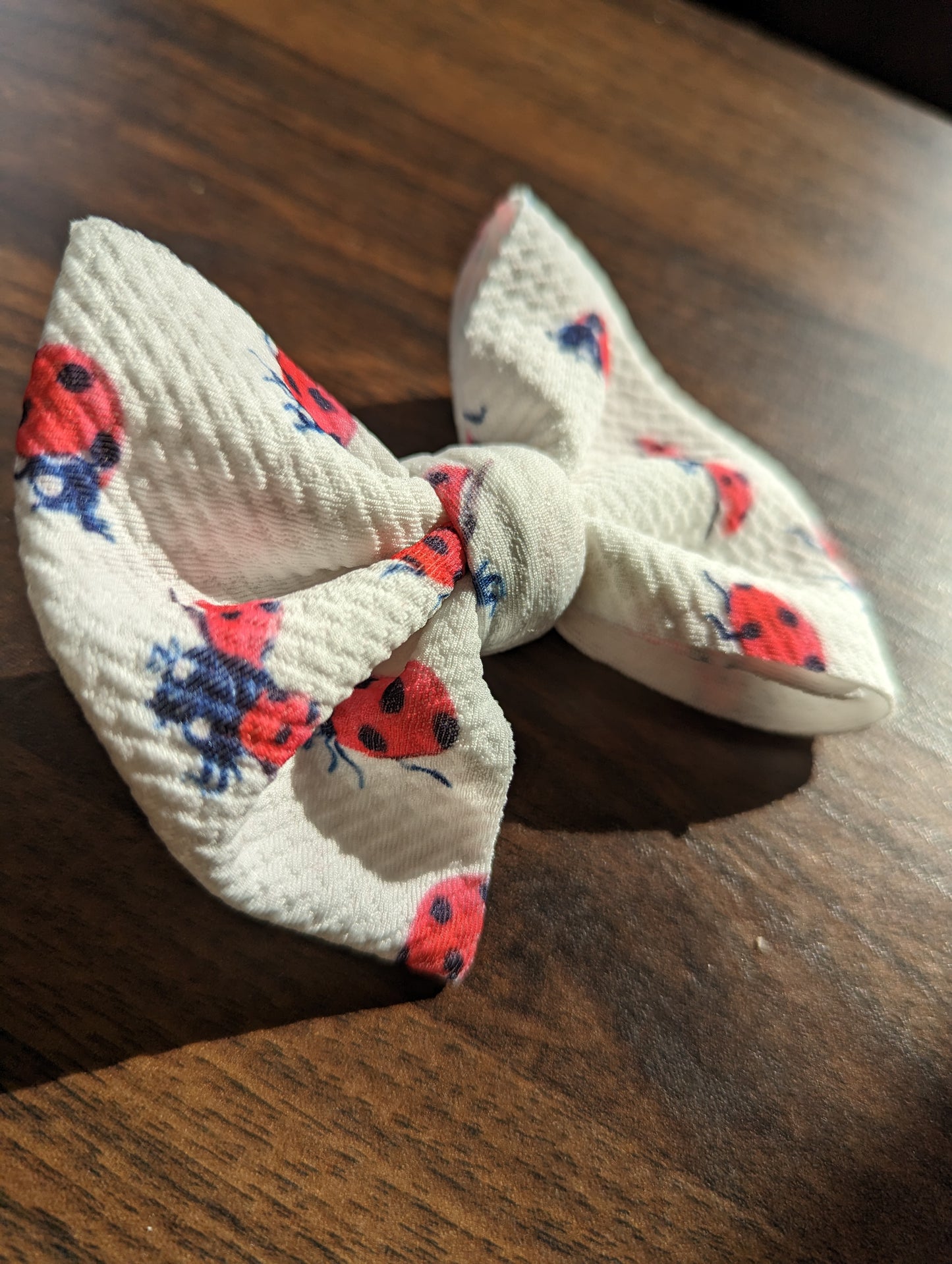 Ladybug Clip